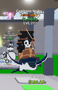 capitano moby