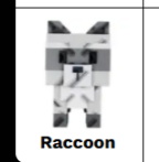 raccoon