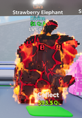 فيل لافا